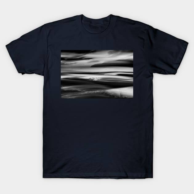 Black and white Abstract in nature intentional camera movement sunset T-Shirt by brians101